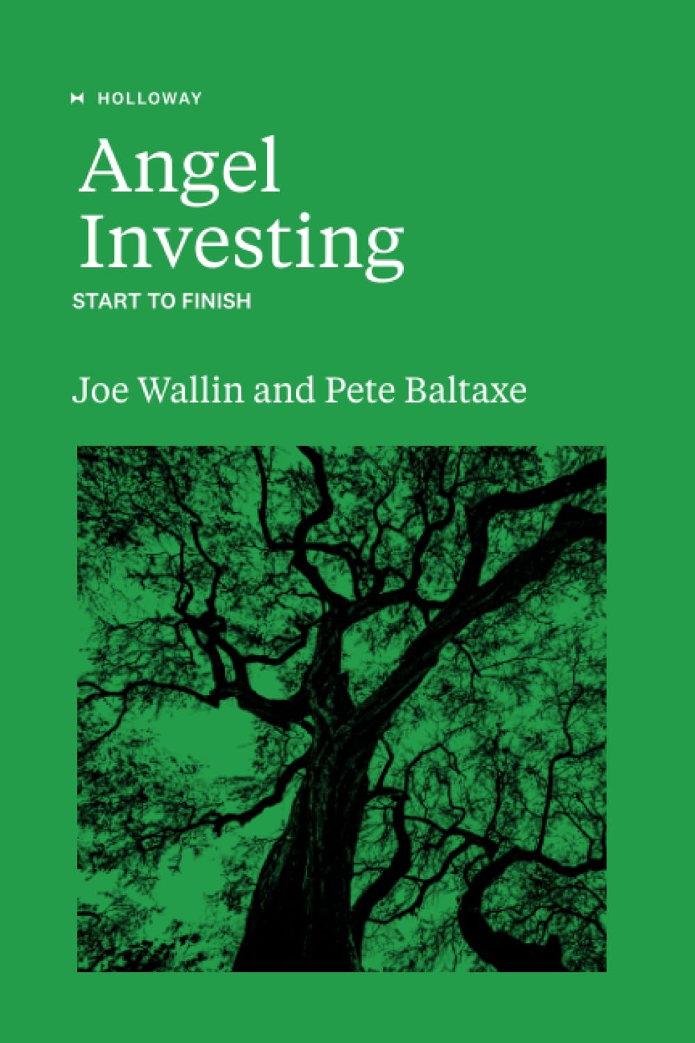 Angel Investing: Start to Finish     Paperback – July 27, 2020