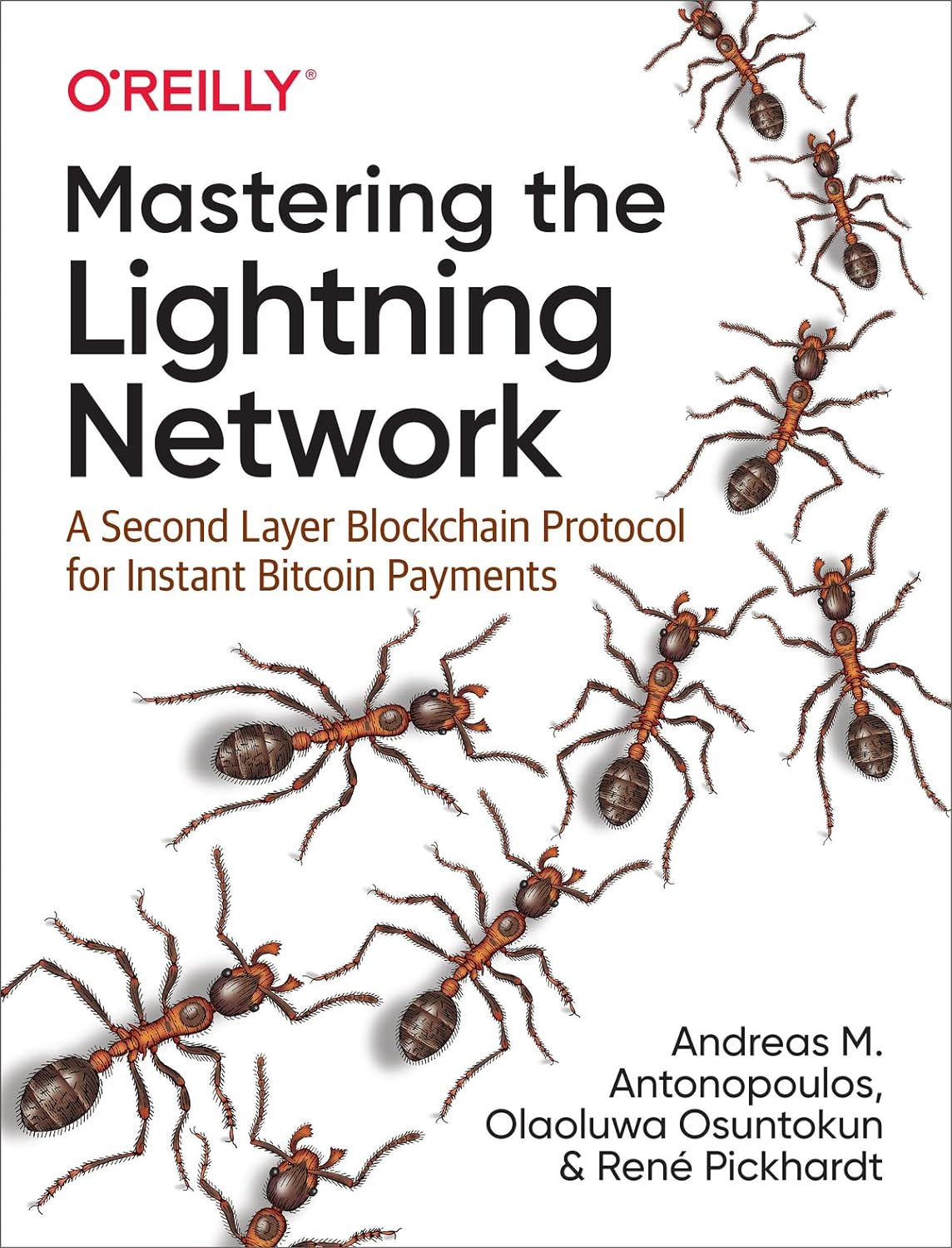 Mastering the Lightning Network: A Second Layer Blockchain Protocol for Instant Bitcoin Payments 1st Edition Review