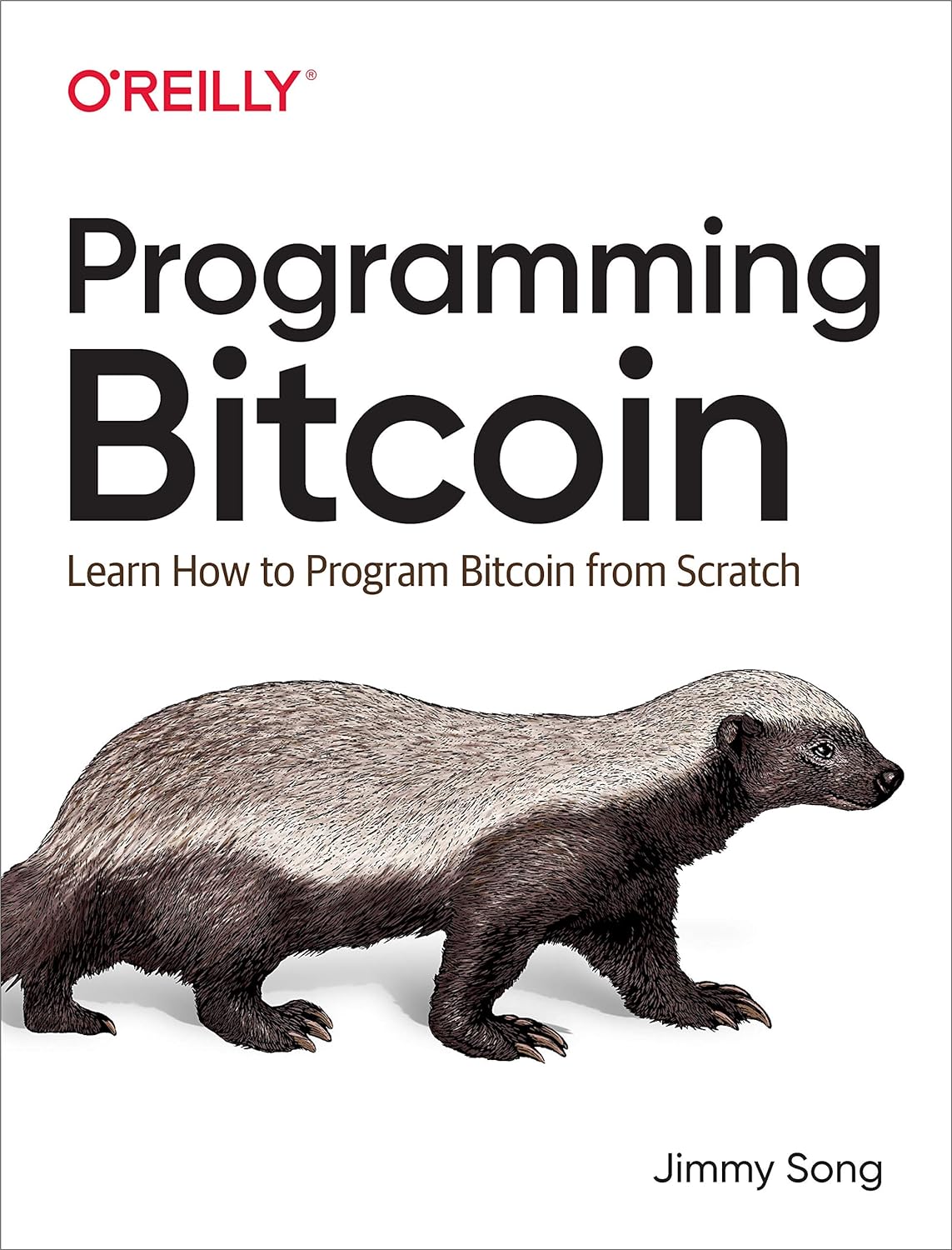 Programming Bitcoin: Learn How to Program Bitcoin from Scratch 1st Edition review