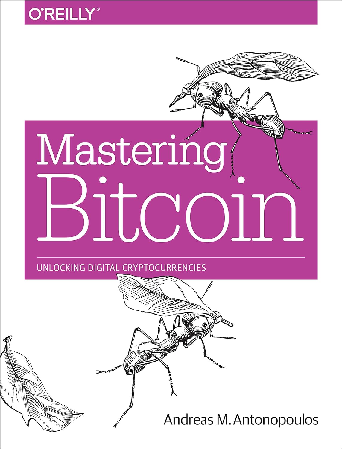 Mastering Bitcoin: Unlocking Digital Cryptocurrencies     1st Edition